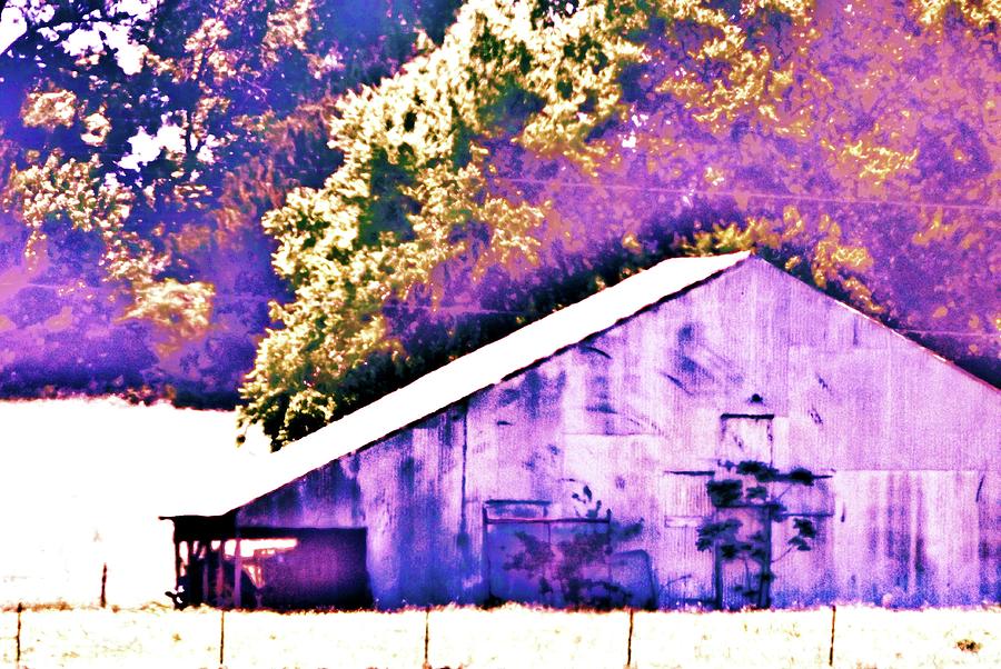 Barn Photograph - The Broad Side by Traci Barnes