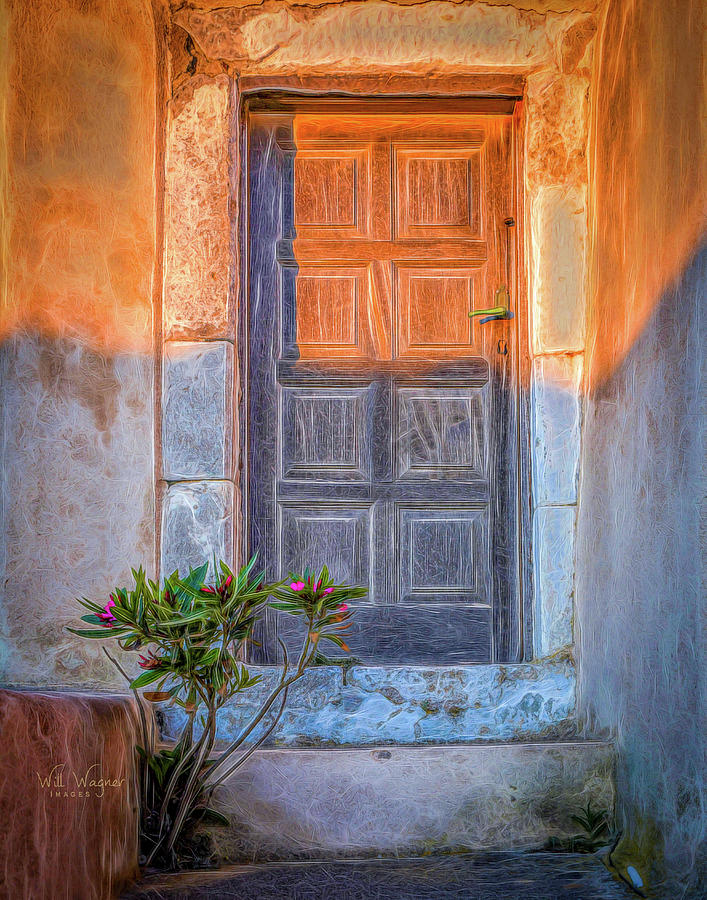 The Brown Door Photograph by Will Wagner