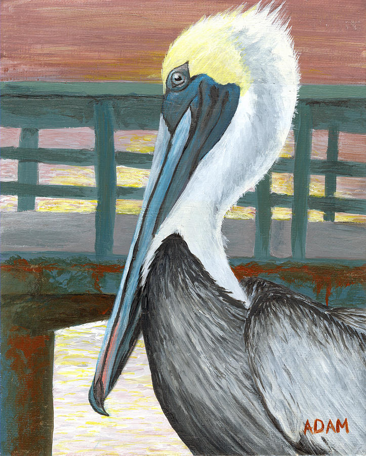 Pelican Painting - The Brown Pelican by Adam Johnson