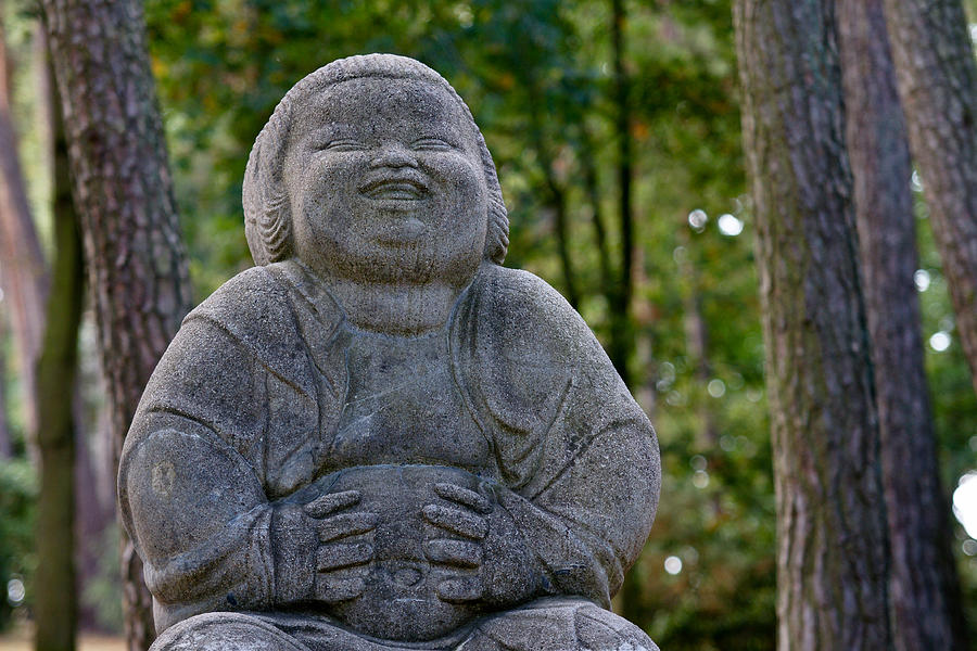 The Buddha of Worpswede Photograph by Edward Myers