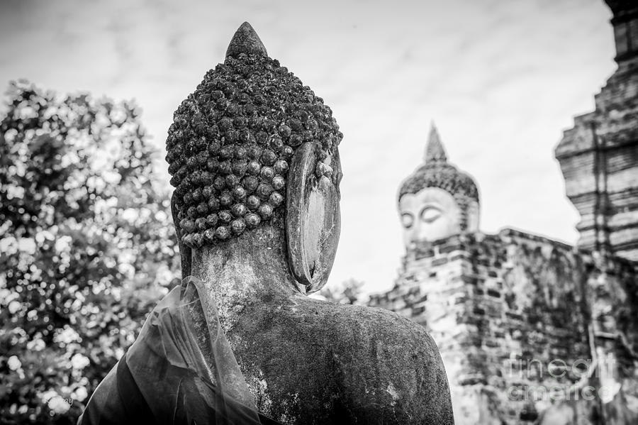 The Buddha statues of Watyaichaimongkhol Photograph by Rene Triay FineArt Photos