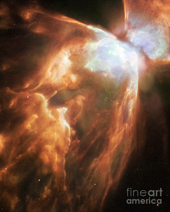 Hubble Space Telescope Photograph - The Bug Nebula by Nasa