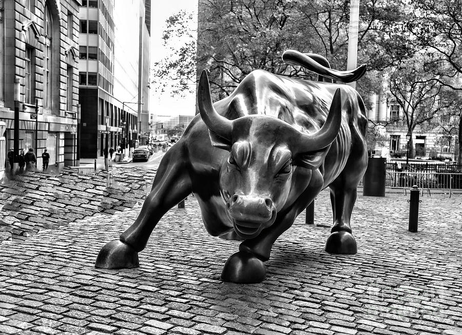The Bull Black White NYC Wall Street      Photograph by Chuck Kuhn