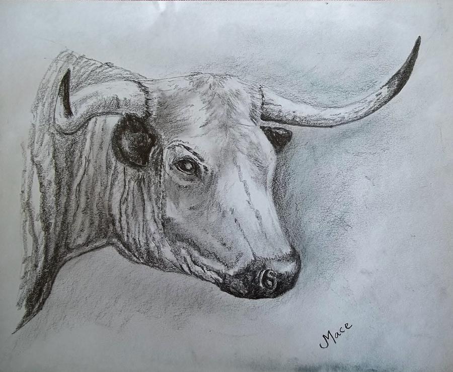 The Bull Drawing by Joan Mace Fine Art America
