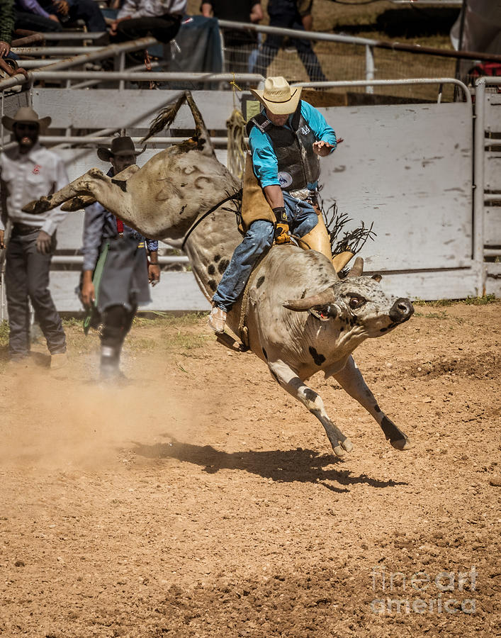 The Bull Rider Photograph by Daniel Ryan