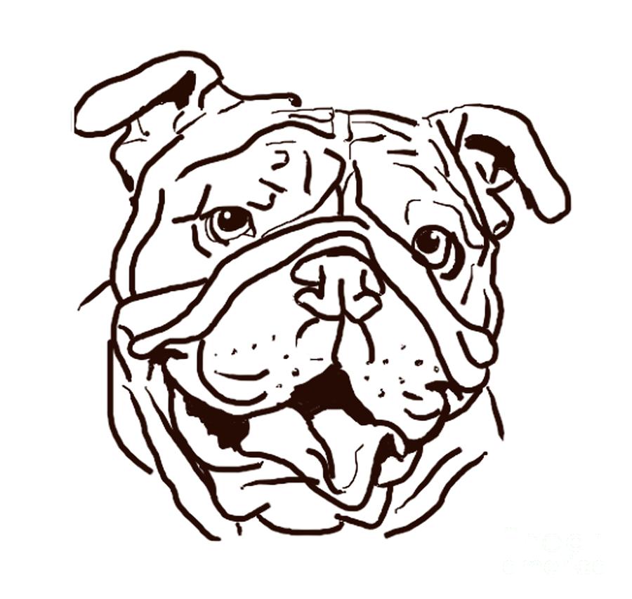 how to draw a bulldog