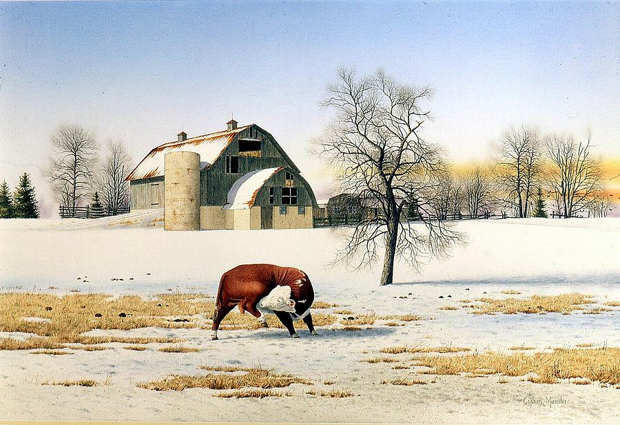 The Bulls Itch Painting by Conrad Mieschke