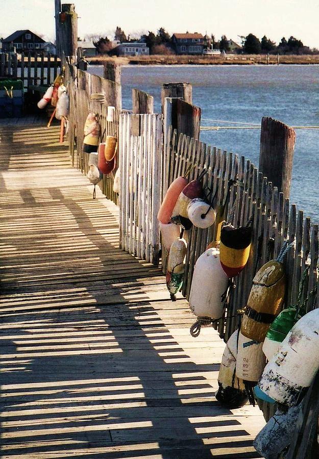 The buoy fence Photograph by John Scates