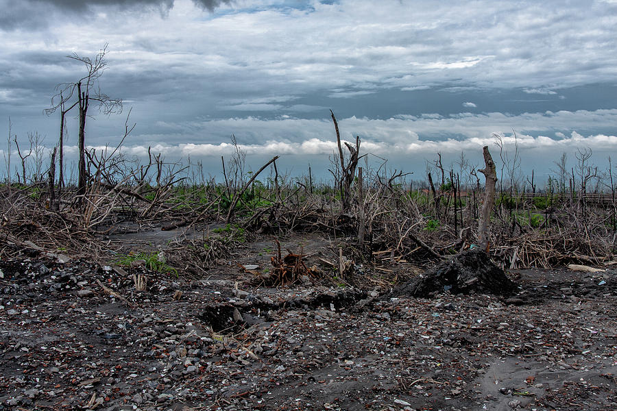 The burned land Photograph by Volodymyr Dvornyk - Fine Art America