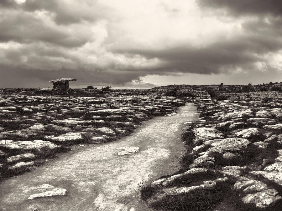The Burren Ireland with Poulnabrone Dolmen Photograph by Menega Sabidussi