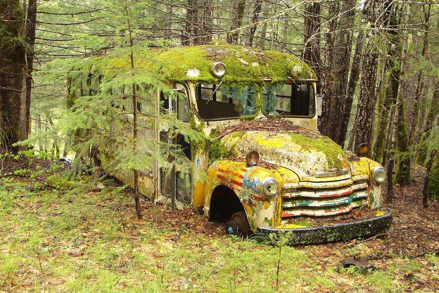 The Bus Photograph by Sarah Allegra - Fine Art America