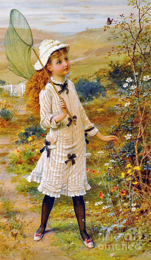 https://images.fineartamerica.com/images/artworkimages/mediumlarge/1/the-butterfly-catcher-william-stephen-coleman.jpg