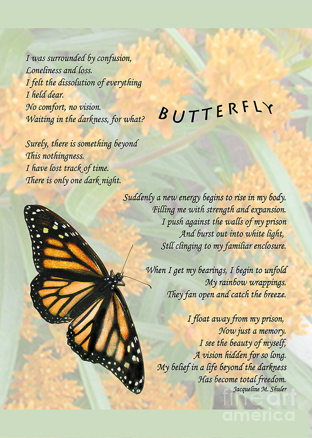 The Butterfly Digital Art by Jacqueline Shuler