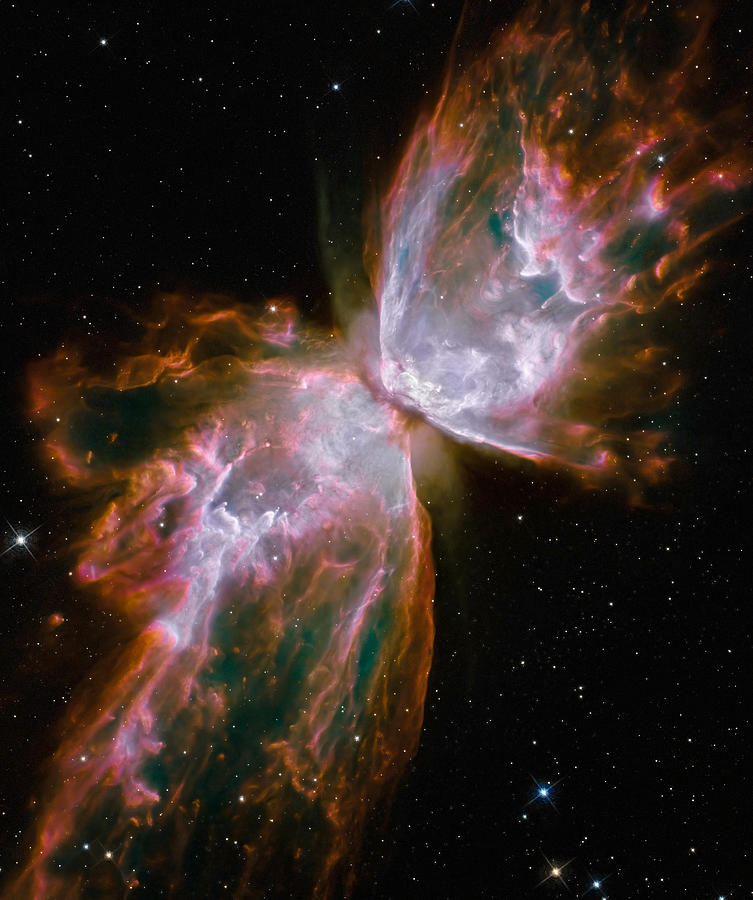 Space Photograph - The Butterfly Nebula by Stocktrek Images