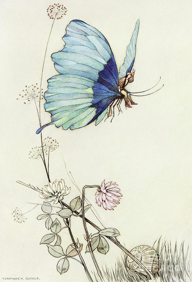 The Butterfly Took Wing, and Mounted Into the Air with little Tom Thumb on his Back Drawing by Warwick Goble