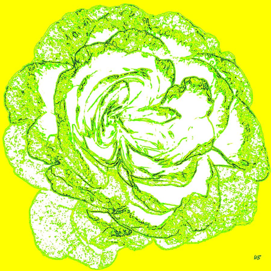 The Cabbage Rose Digital Art