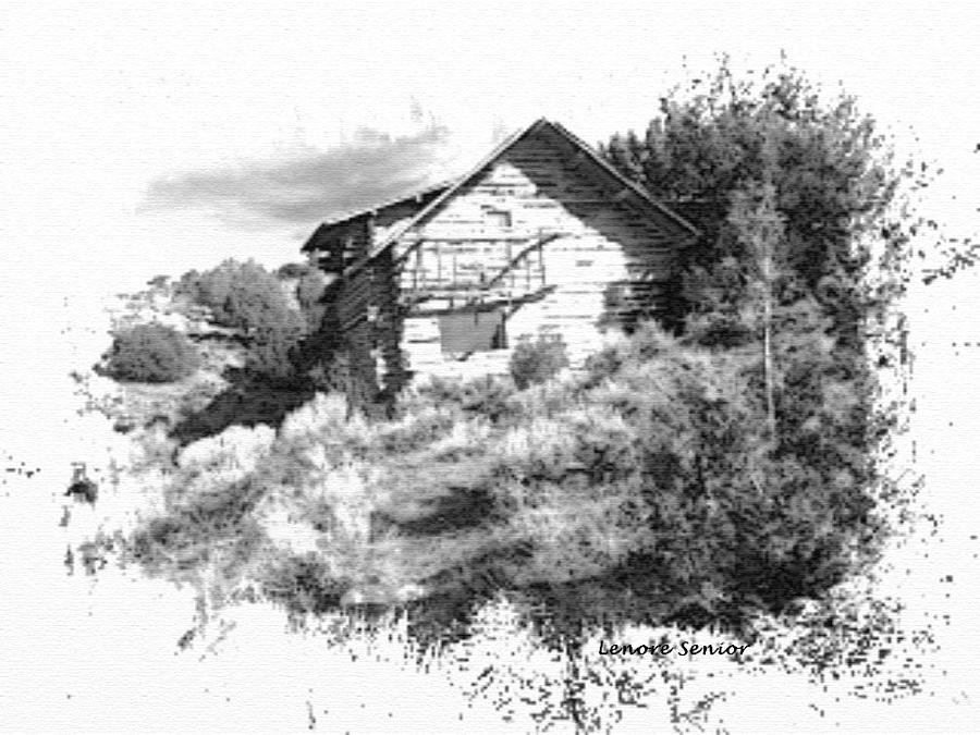The Cabin in Black and White Photograph by Lenore Senior