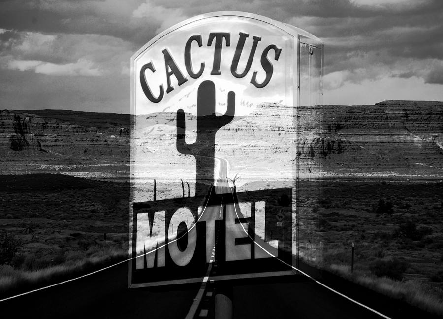 The Cactus Motel Photograph by David Lee Thompson