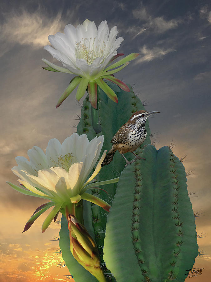 The Cactus Wren Painting by M Spadecaller