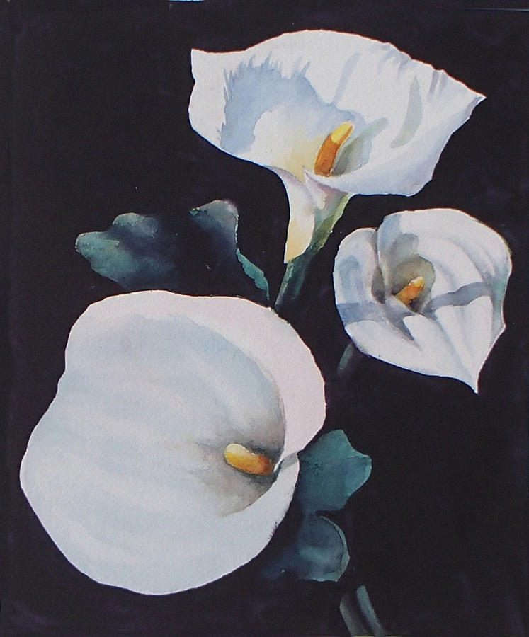 The calla lilies are in bloom again Painting by Philip Fleischer