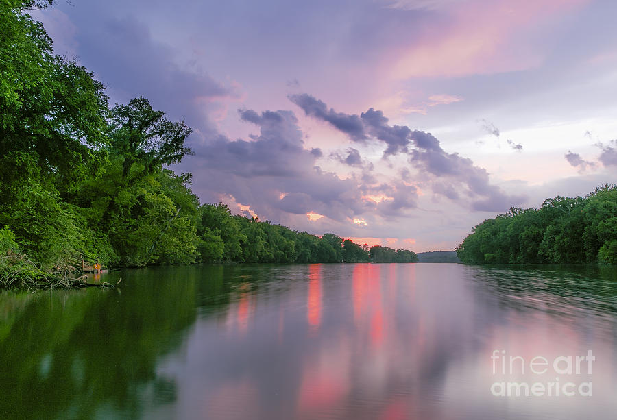 Richmond Photograph - After the Purple Rain by Ava Reaves