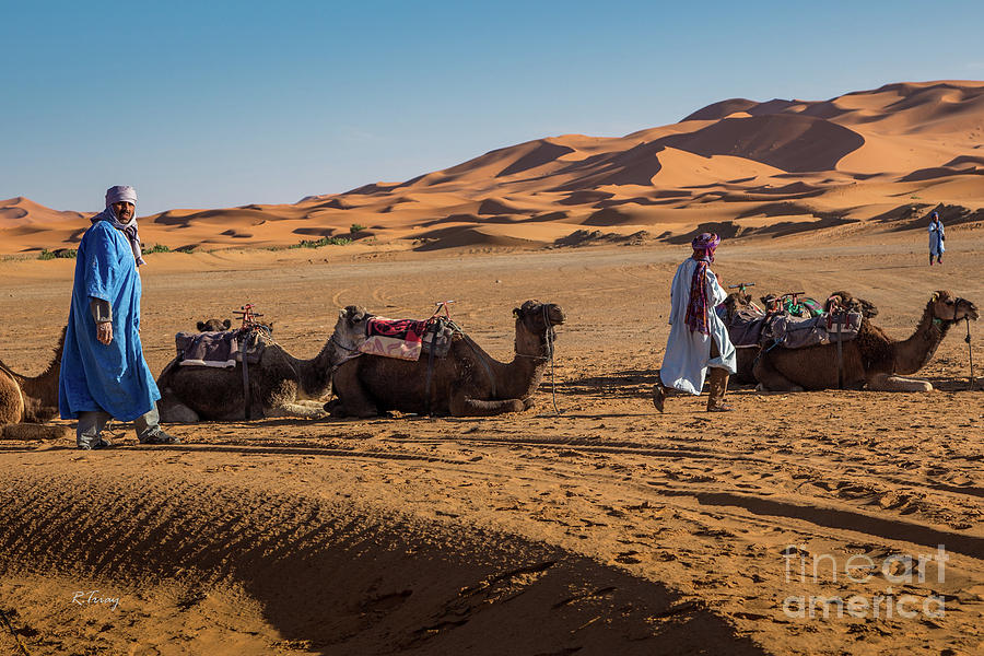 The Camel Driver of the Beautiful Sahara Desert Photograph by Rene Triay FineArt Photos