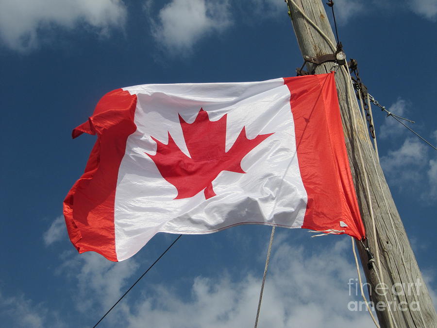 The Canadian Flag and Cloud Photograph by Donna L Munro
