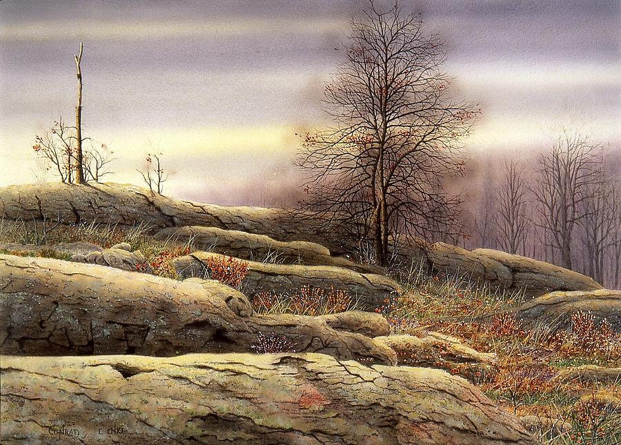 The Canadian Shield Painting by Conrad Mieschke