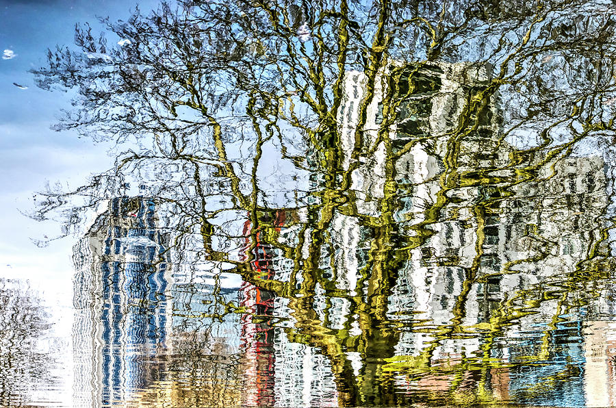 The Canal, the Calypso and the Plane Tree Digital Art by Frans Blok