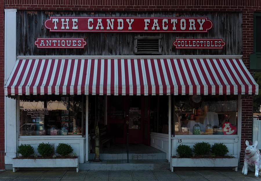 The Candy Factory Photograph by Flees Photos