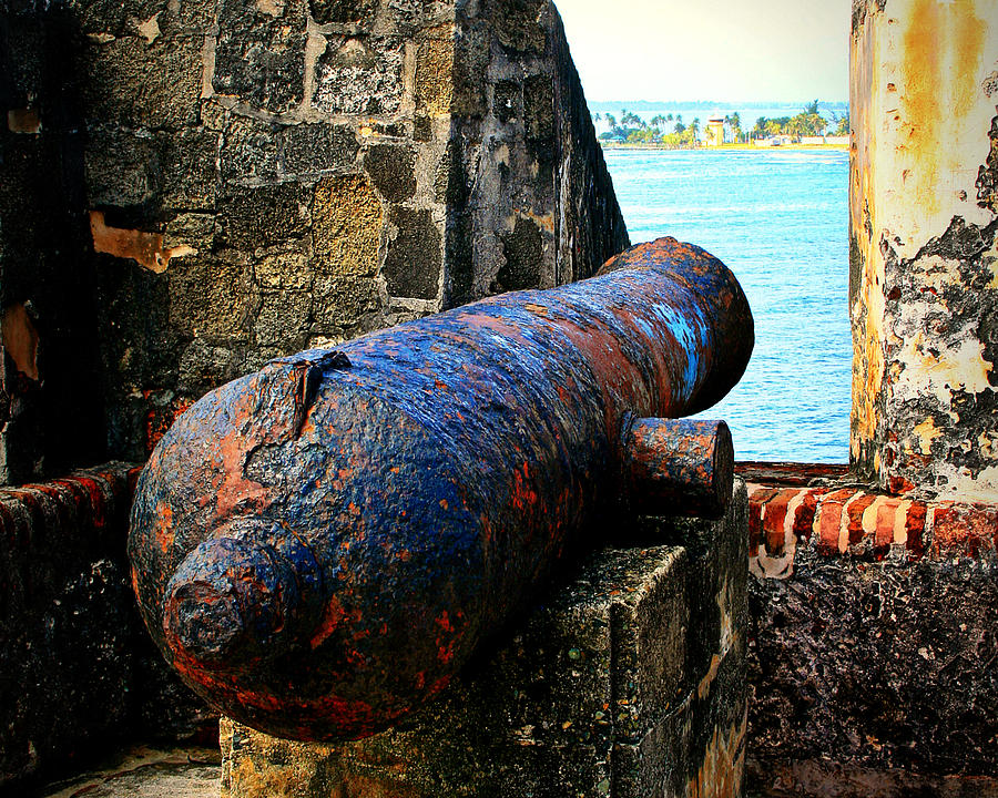 The Cannon  Photograph by Perry Webster
