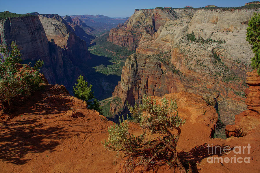 The Canyon Photograph by Brian Kamprath