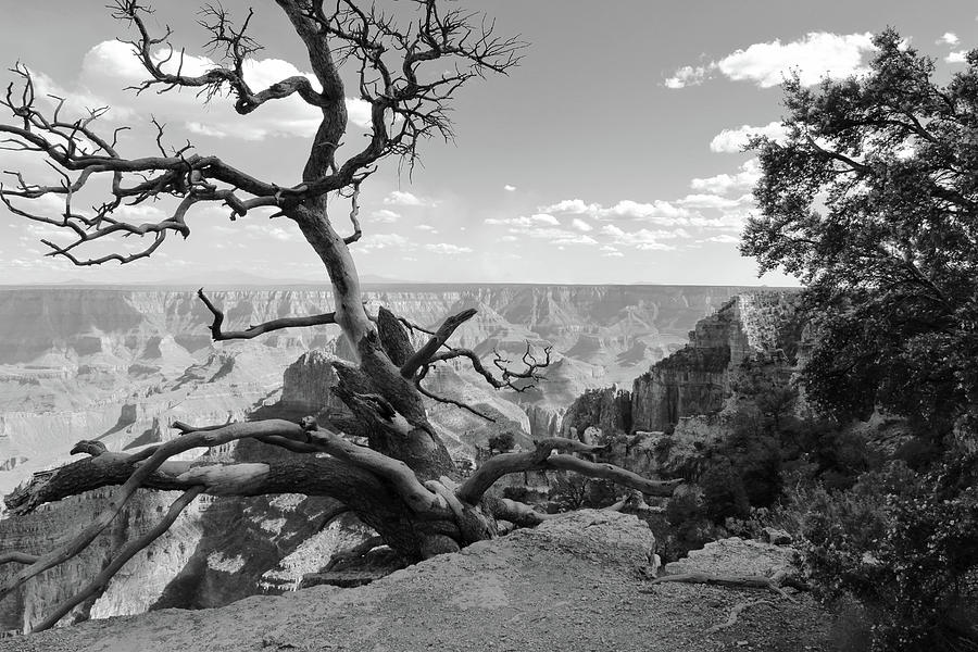 The Canyons Edge BW Photograph by David Diaz