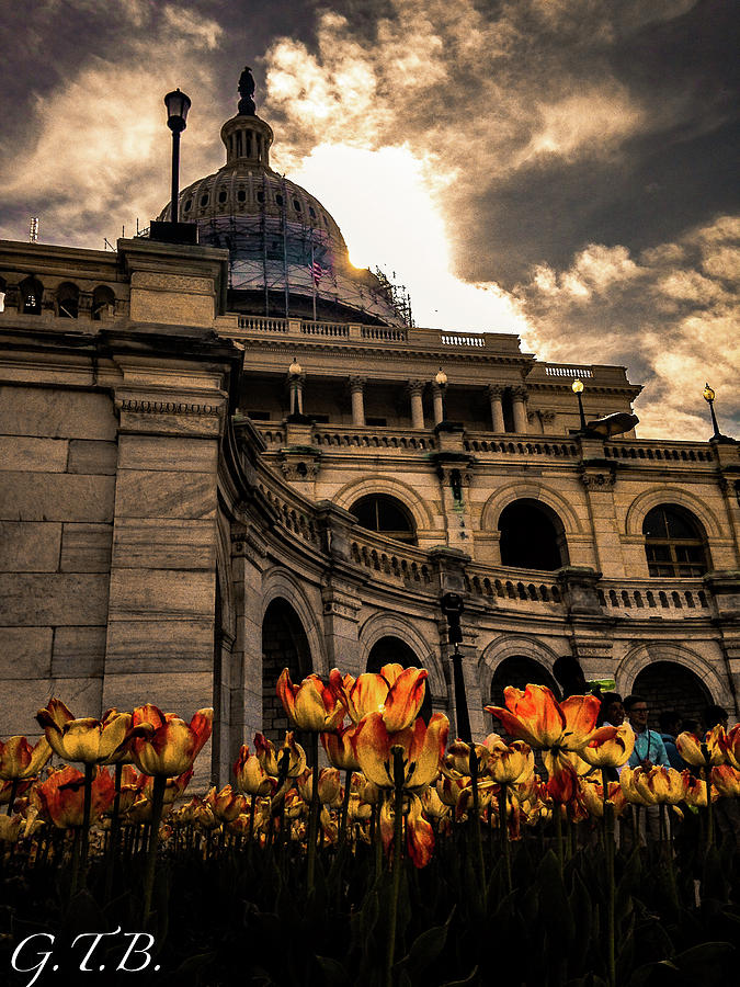 Washington D.c. Photograph - The Capitol by Garrett Blum