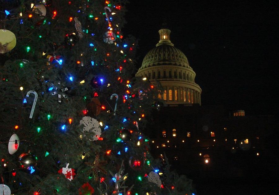 The Capitol Christmas Tree  Photograph by Lois Ivancin Tavaf