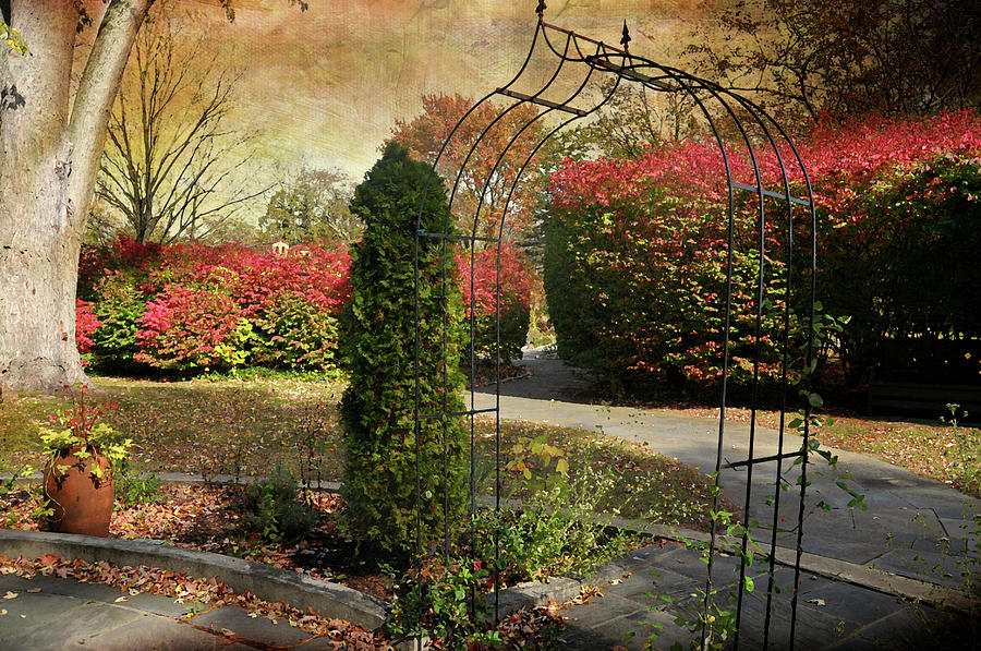 The Caramoor Trellis Photograph by Diana Angstadt