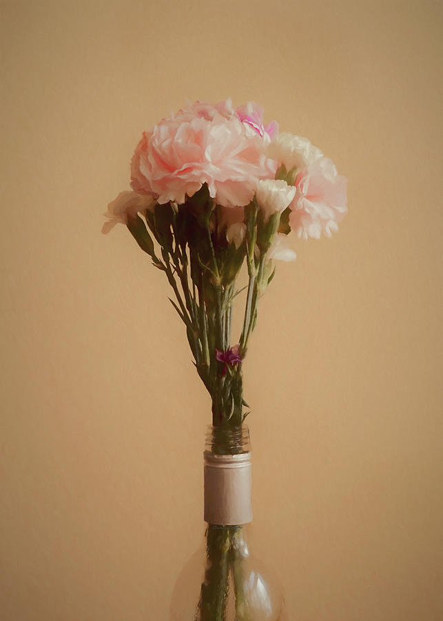 The Carnations Digital Art by Ernest Echols