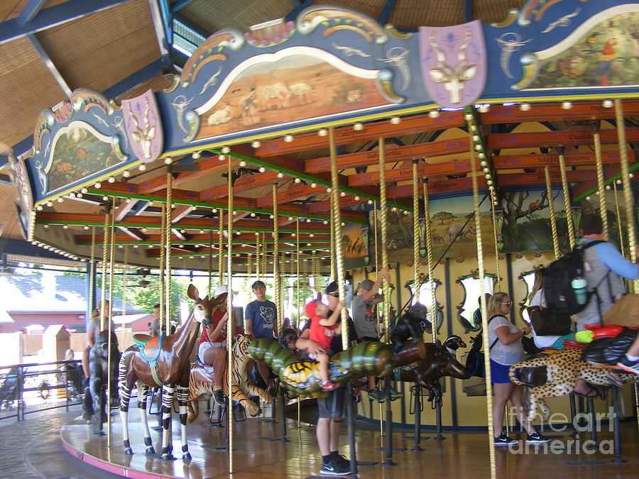 The Carousel at the Zoo Photograph by Nancy Kane Chapman