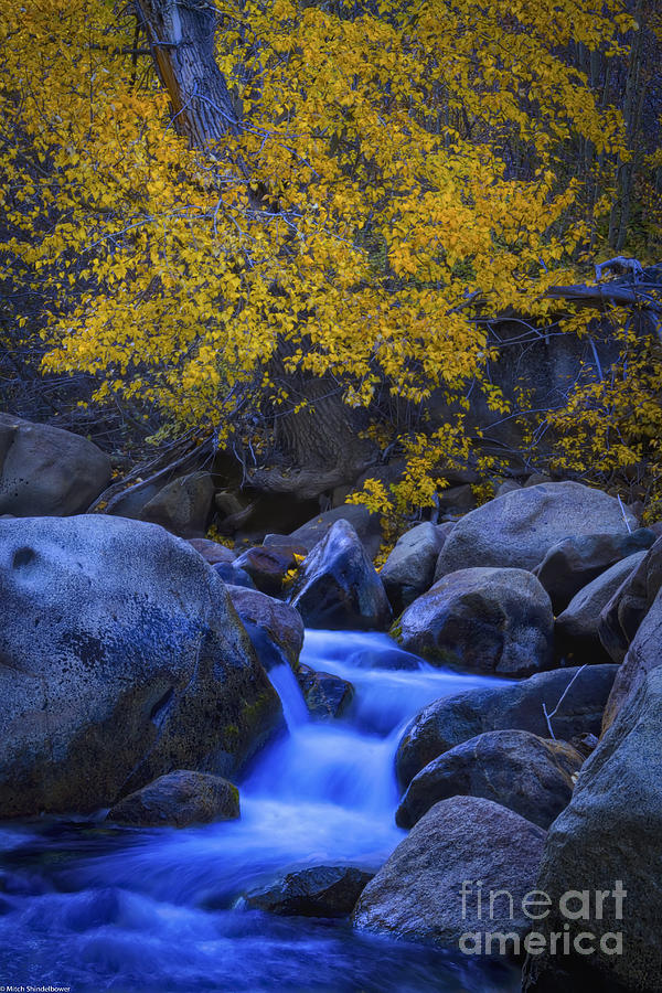 Fall Photograph - The Carson River West Fork Autumn by Mitch Shindelbower
