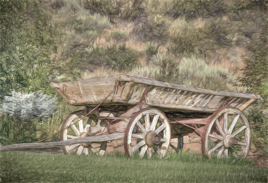 Vintage Photograph - The Cart Before the Horse by Donna Kennedy