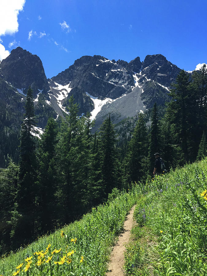 The Cascade Alps Trail Photograph by Tim Dussault