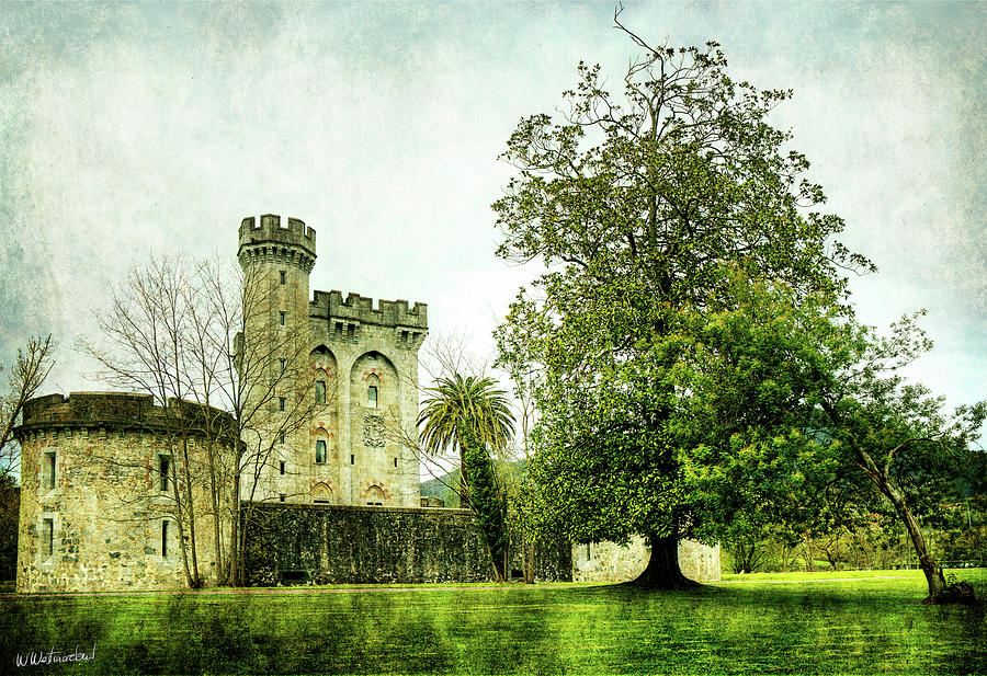The Castle and the Magnolia - Vintage Photograph by Weston Westmoreland