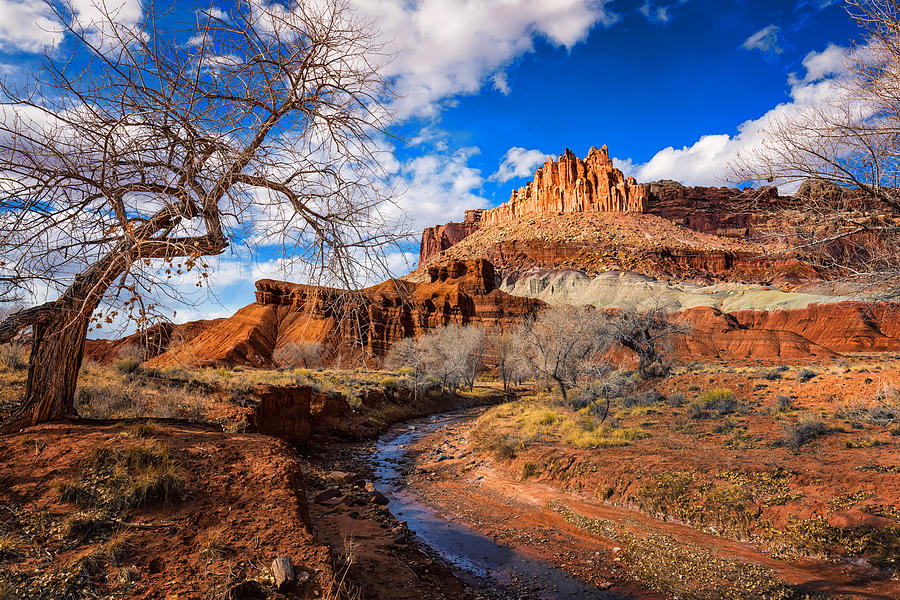 The Castle at Capitol Reef Photograph by Dave Koch