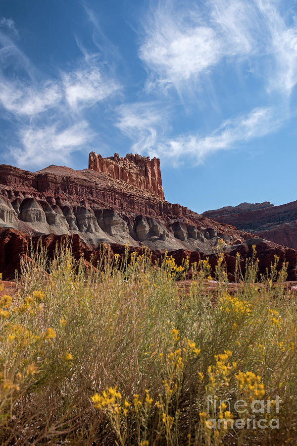 Rock Formation Capital Reef Photograph by Cindy Murphy - NightVisions