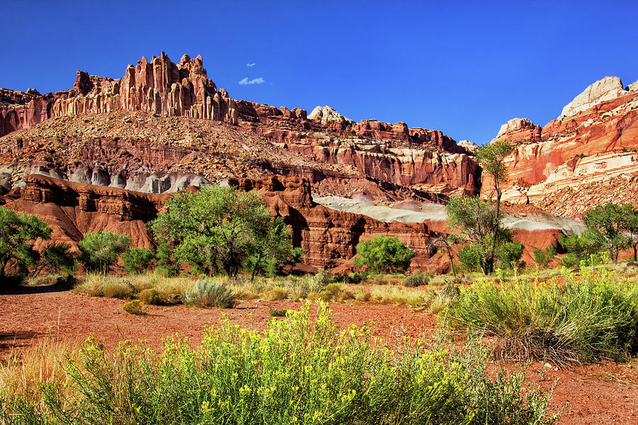 The Castle Rock Formation in Capitol Reef Photograph by Carolyn Derstine