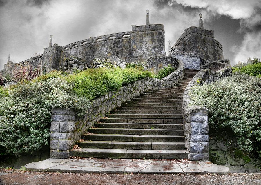 The Castle Photograph by Steve McKinzie