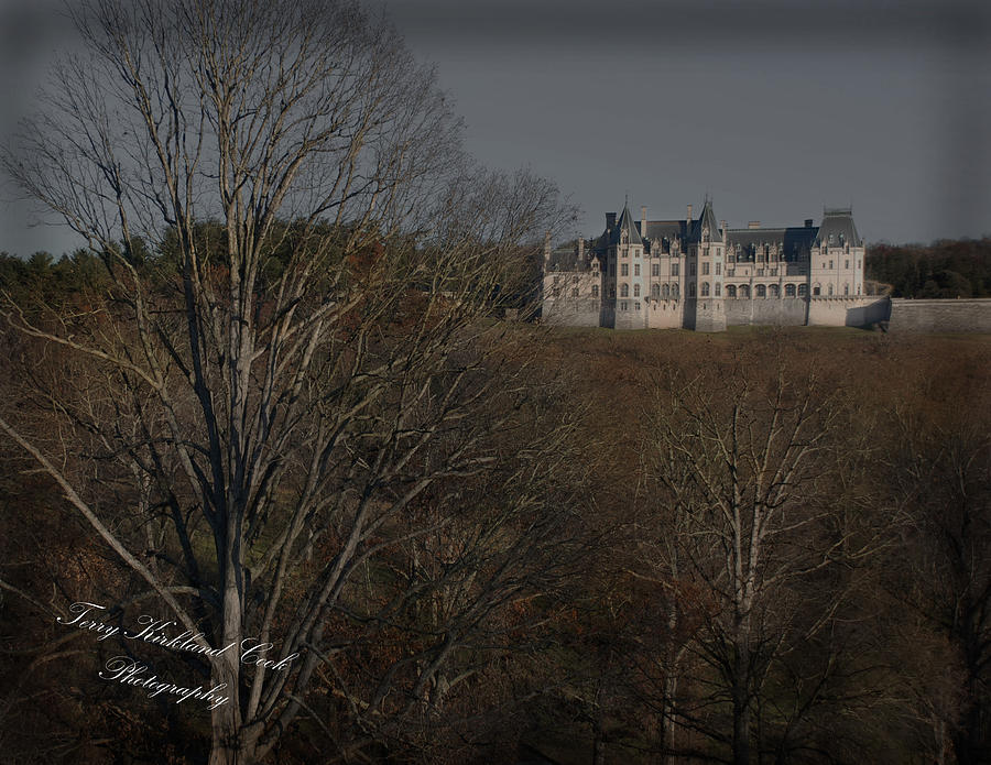 The Castle Photograph by Terry Kirkland Cook