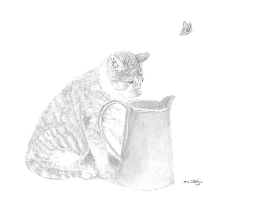 The Cat And Curiosity Drawing