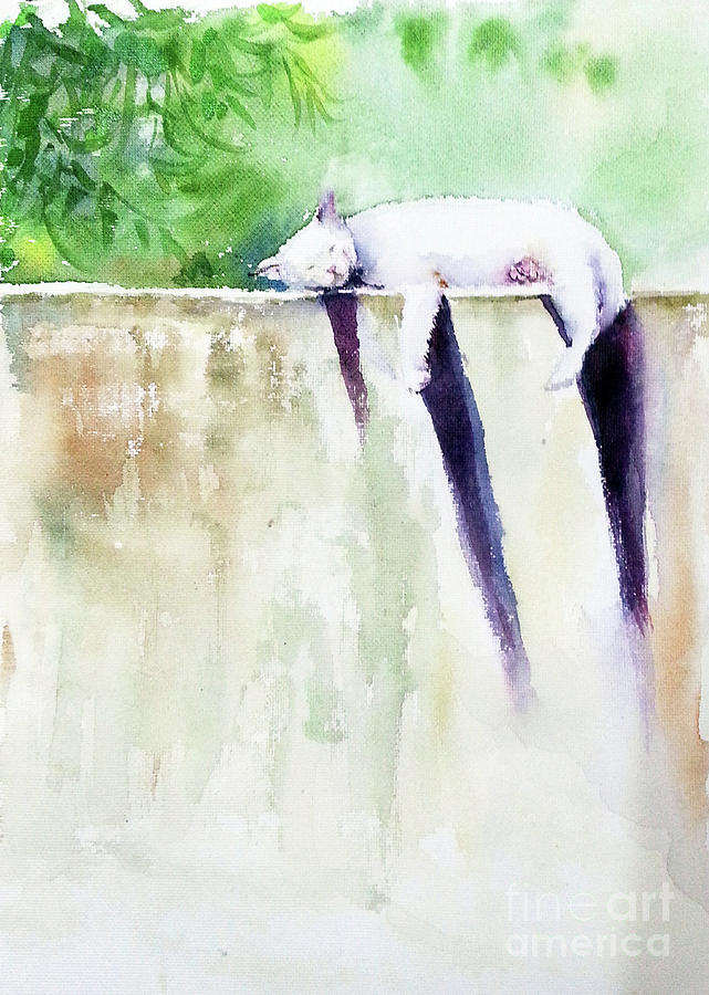 The Cat-nap Painting by Asha Sudhaker Shenoy
