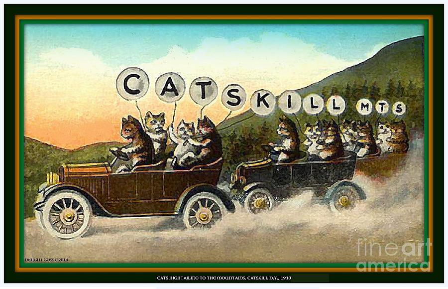 The Catskill Cats Mixed Media by Dwight Goss